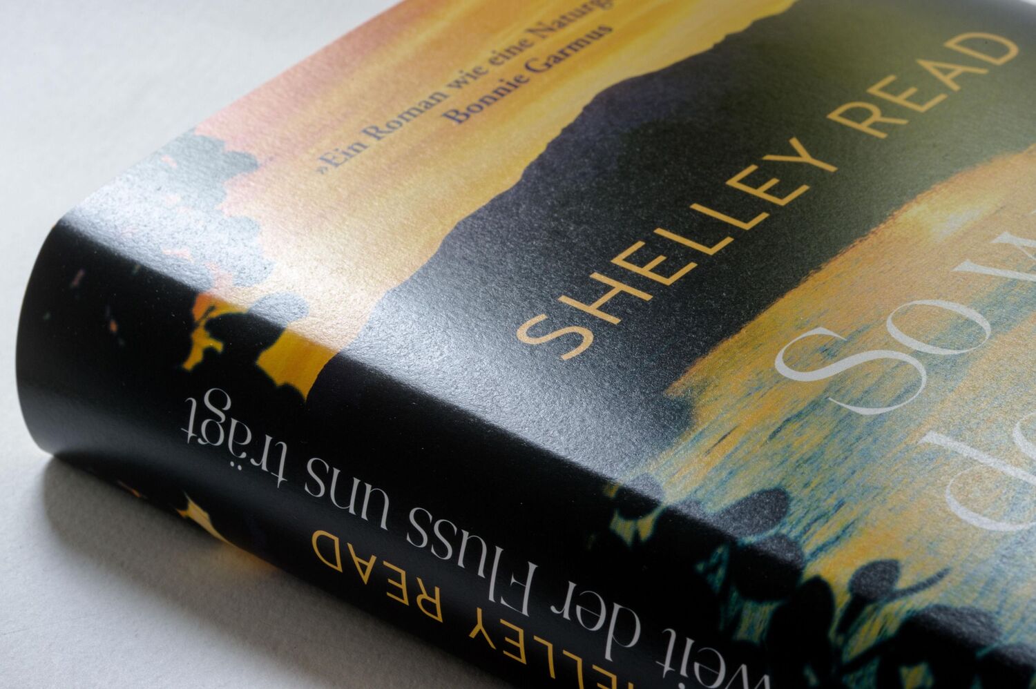 Bild: 9783570105139 | So weit der Fluss uns trägt | Shelley Read | Buch | 368 S. | Deutsch