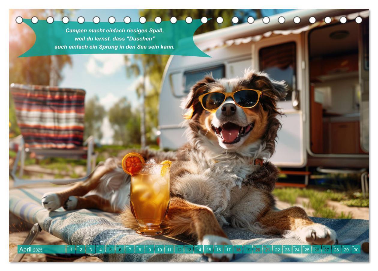 Bild: 9783457181966 | Der tierisch lustige Camping-Kalender (Tischkalender 2025 DIN A5...