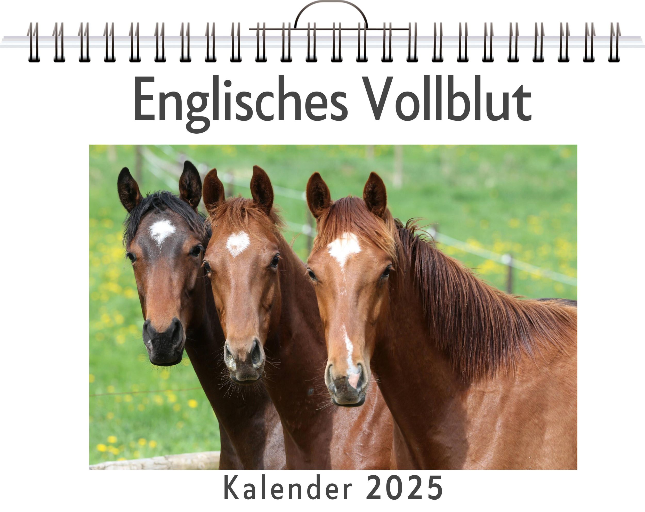 Cover: 9783759132239 | Englisches Vollblut | Jonah Becker | Kalender | Kalender | 14 S.