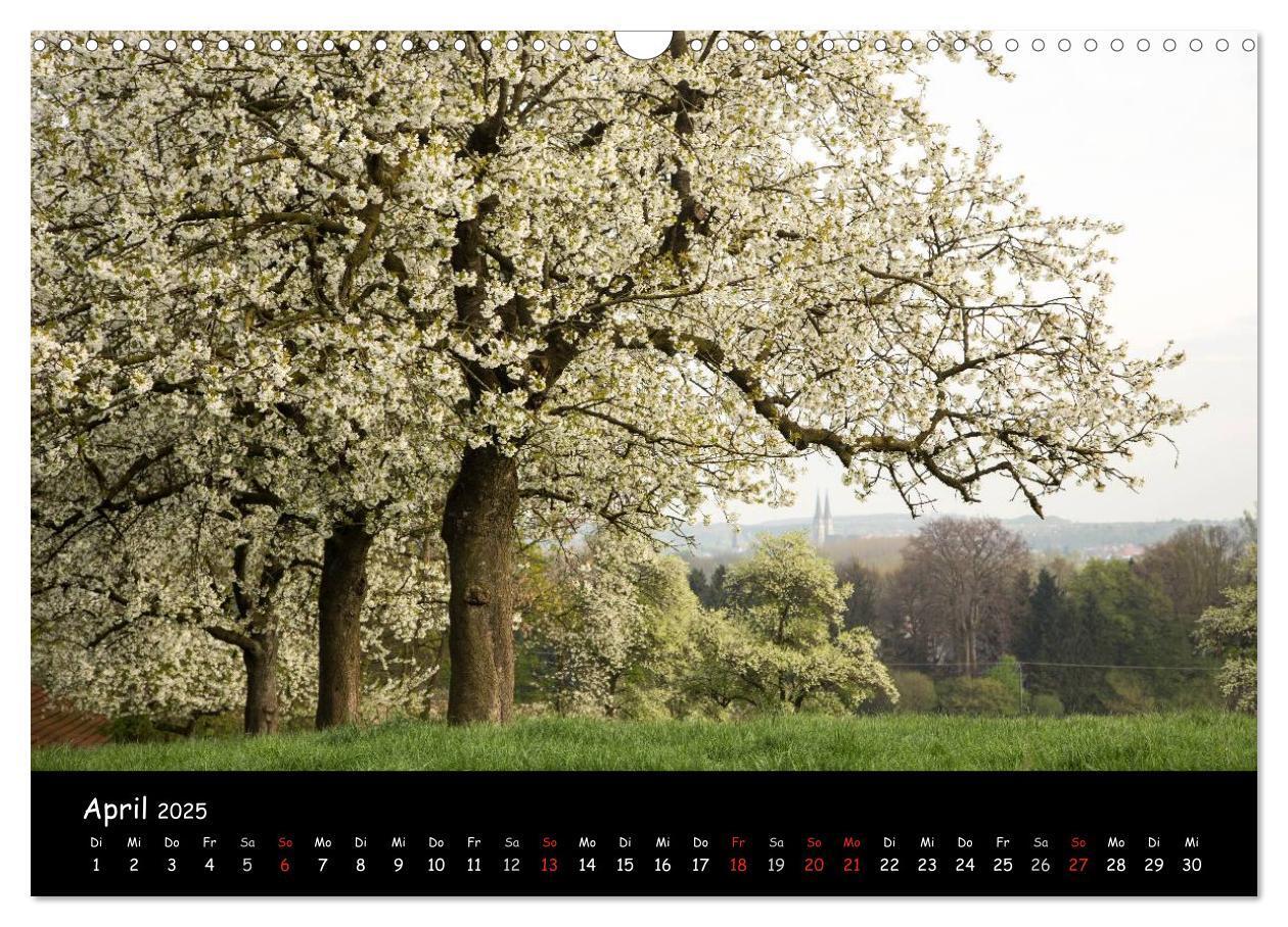 Bild: 9783435676453 | Billerbeck - Perle der Baumberge (Wandkalender 2025 DIN A3 quer),...