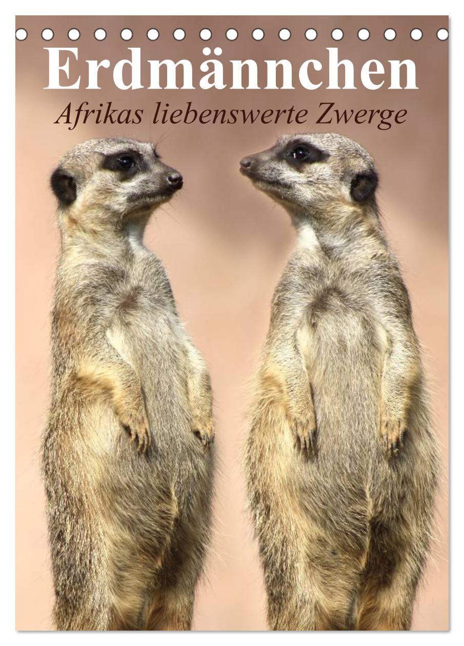 Cover: 9783457054345 | Erdmännchen - Afrikas liebenswerte Zwerge (Tischkalender 2025 DIN...