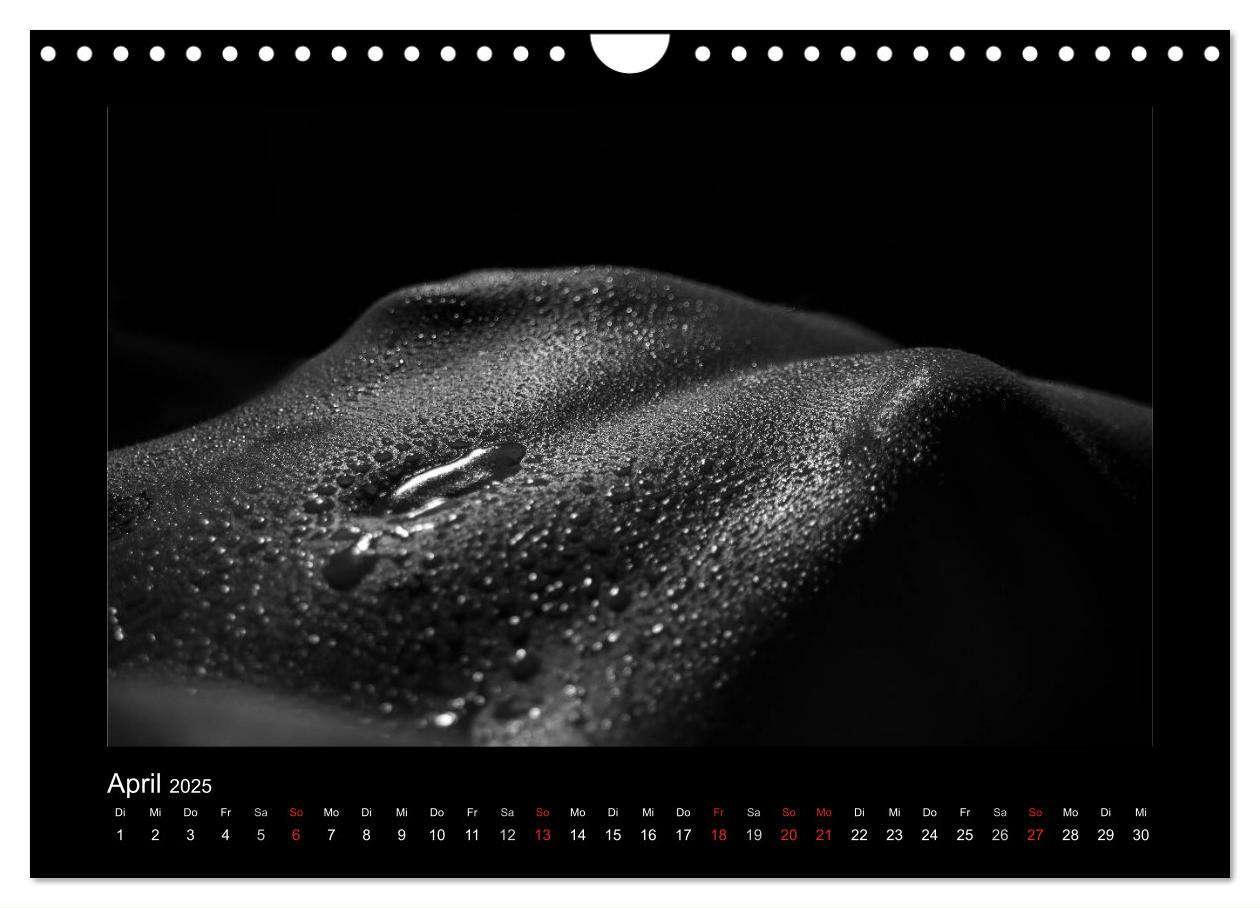 Bild: 9783435489626 | Erotische Körper (Wandkalender 2025 DIN A4 quer), CALVENDO...