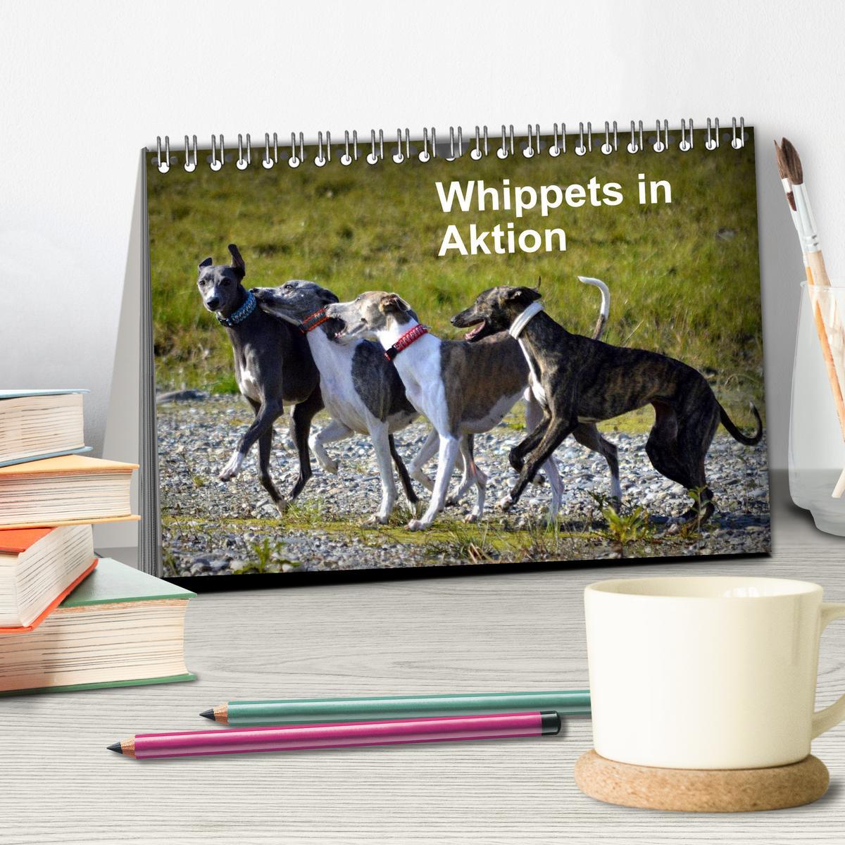 Bild: 9783435629909 | Whippets in Aktion (Tischkalender 2025 DIN A5 quer), CALVENDO...