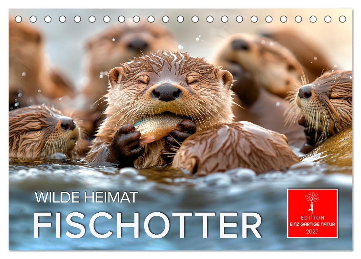 Cover: 9783457237120 | Wilde Heimat - Fischotter (Tischkalender 2025 DIN A5 quer),...