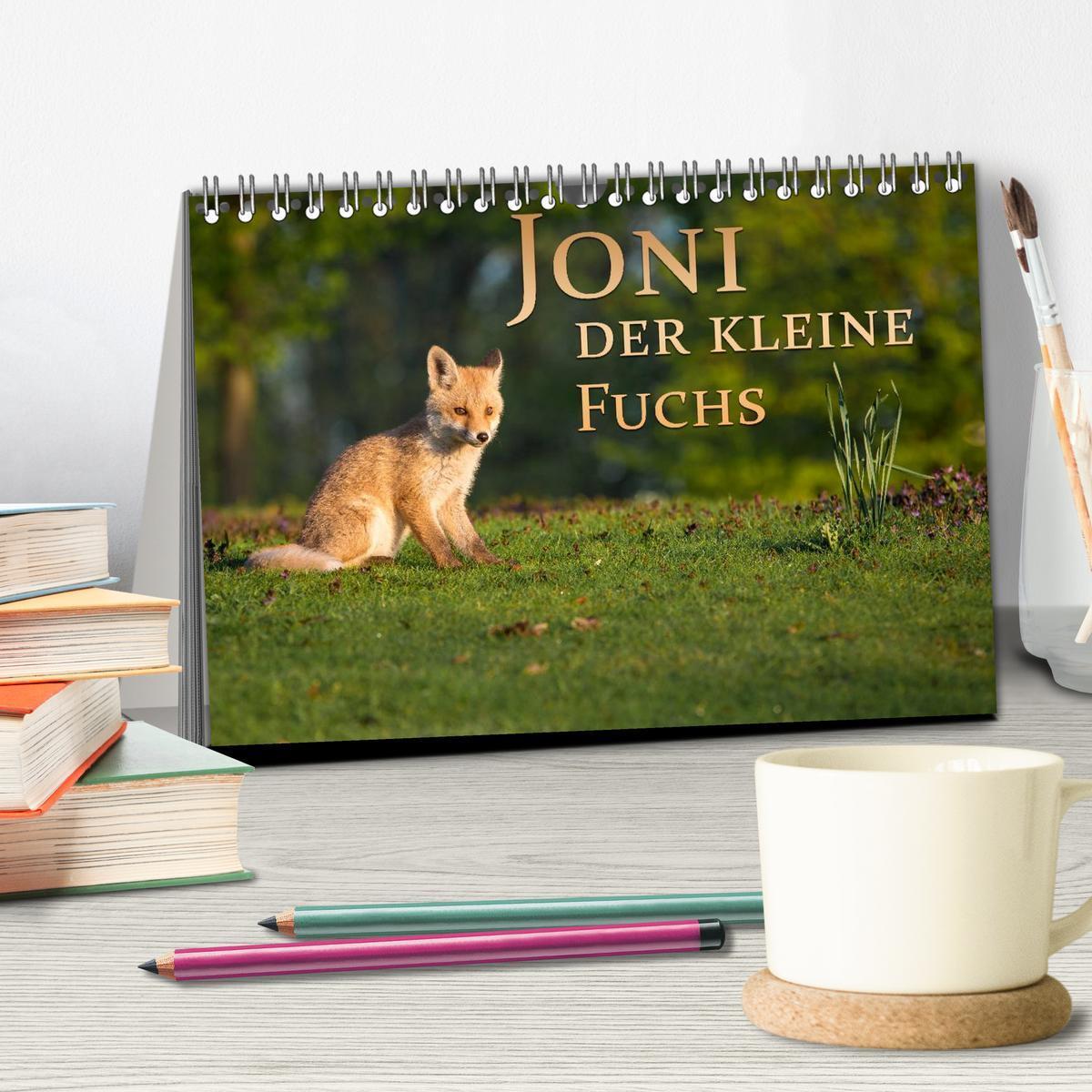 Bild: 9783435560011 | Joni, der kleine Fuchs (Tischkalender 2025 DIN A5 quer), CALVENDO...