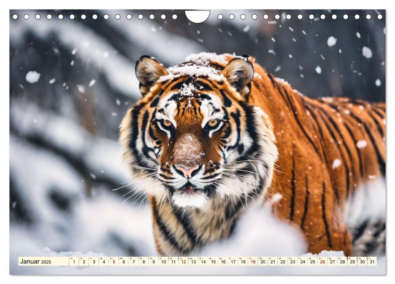 Bild: 9783383814105 | Tiger ganz nah (Wandkalender 2025 DIN A4 quer), CALVENDO...