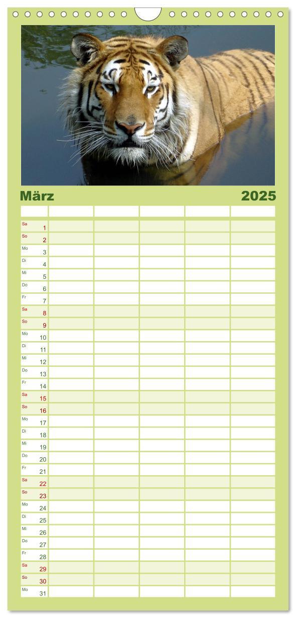 Bild: 9783457122150 | Familienplaner 2025 - Welt der Tiere mit 5 Spalten (Wandkalender,...