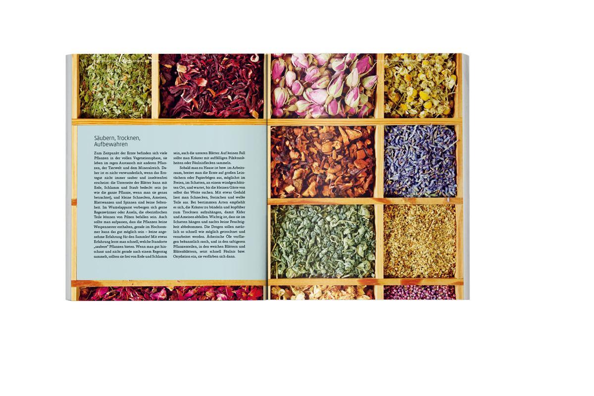 Bild: 9783723515211 | Ars Herbaria | Heilpflanzen im Jahreslauf | Karin Mecozzi | Buch