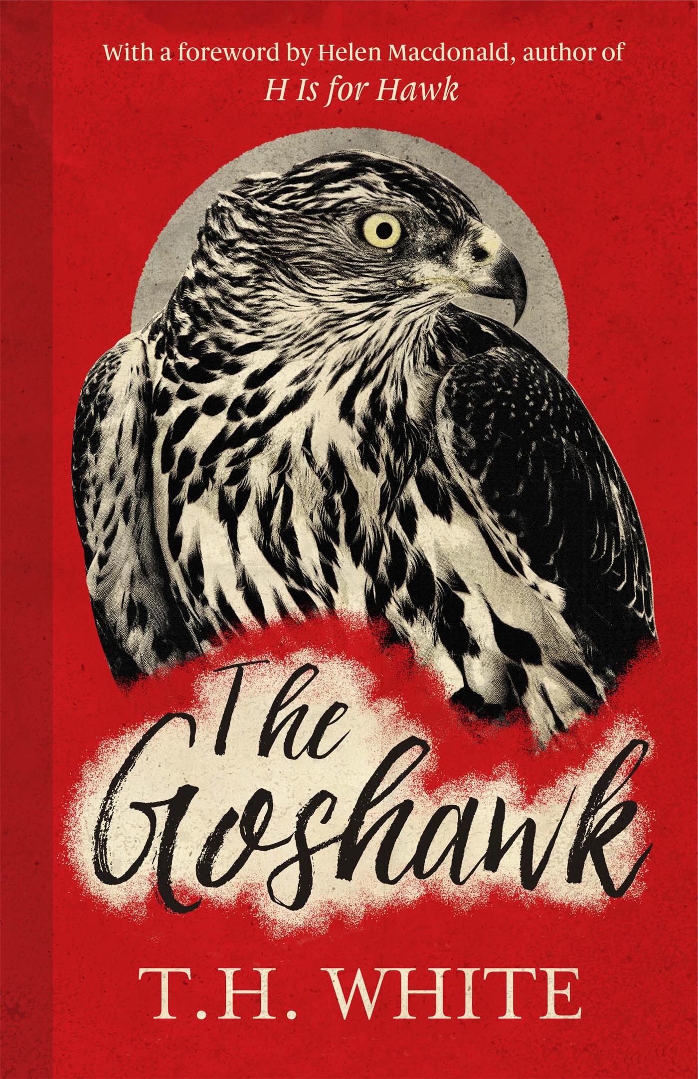 Cover: 9781474601665 | The Goshawk | With a foreword by Helen Macdonald | T. H. White | Buch