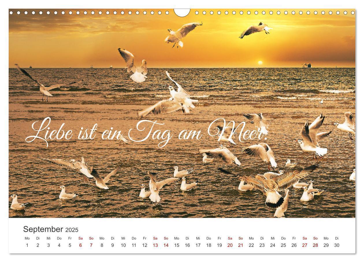 Bild: 9783383920448 | Lass uns ans Meer fahren (Wandkalender 2025 DIN A3 quer), CALVENDO...