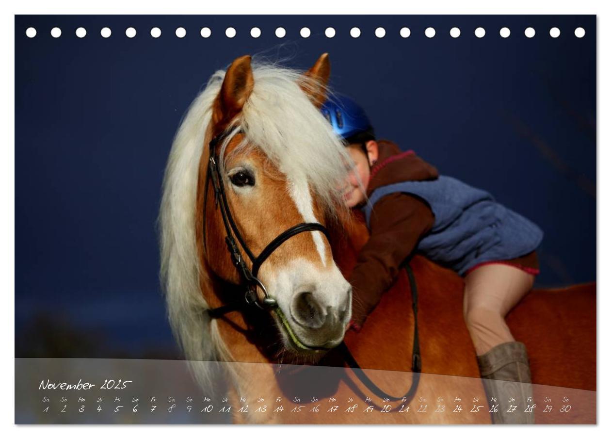 Bild: 9783435504121 | Haflinger-Pferde in Reinzucht (Tischkalender 2025 DIN A5 quer),...