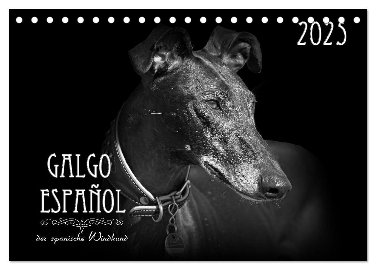 Cover: 9783383824036 | Galgo Español - der spanische Windhund 2025 (Tischkalender 2025 DIN...