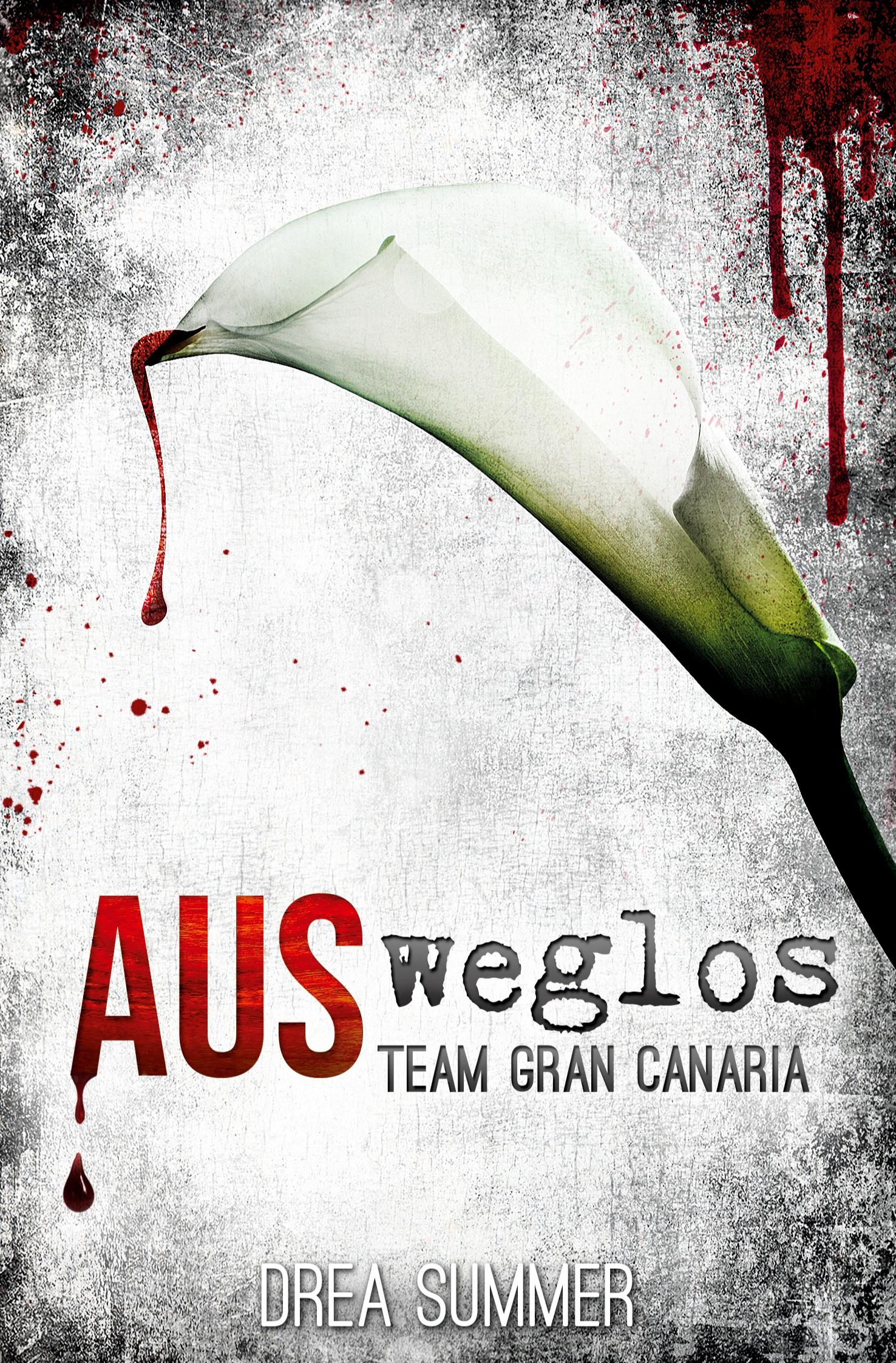 Cover: 9783757906474 | AUSweglos | Drea Summer | Taschenbuch | Team Gran Canaria | Paperback