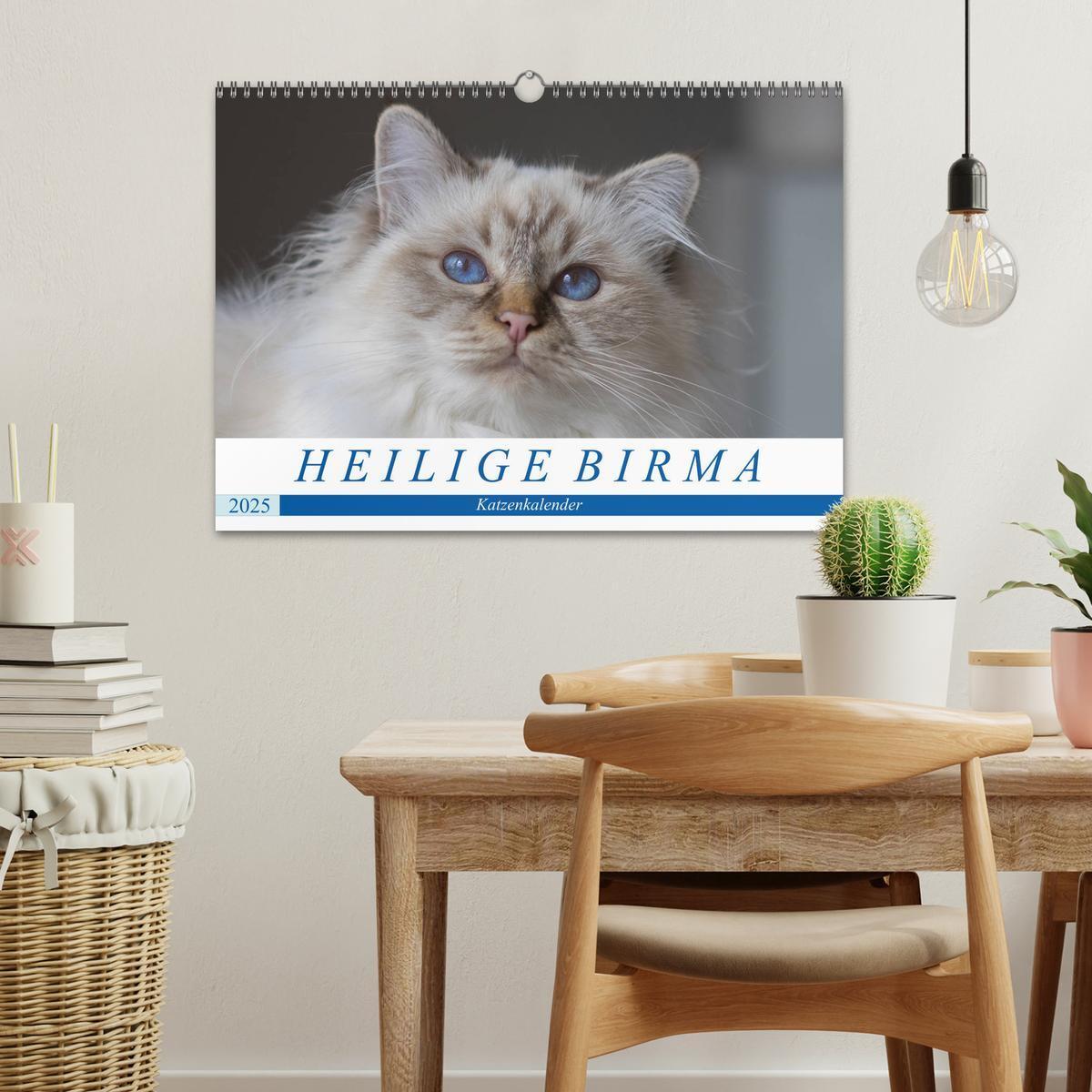 Bild: 9783435758036 | Heilige Birma Katzenkalender (Wandkalender 2025 DIN A3 quer),...