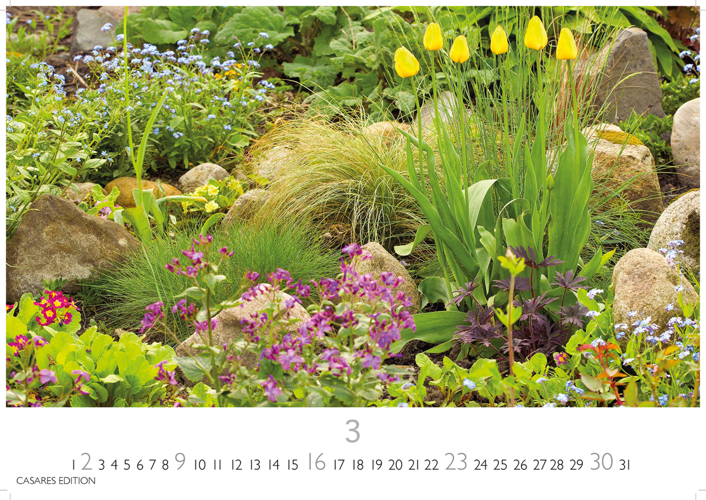 Bild: 9781835242247 | Gartenparadiese 2025 L 35x50cm | Kalender | 14 S. | Deutsch | 2025