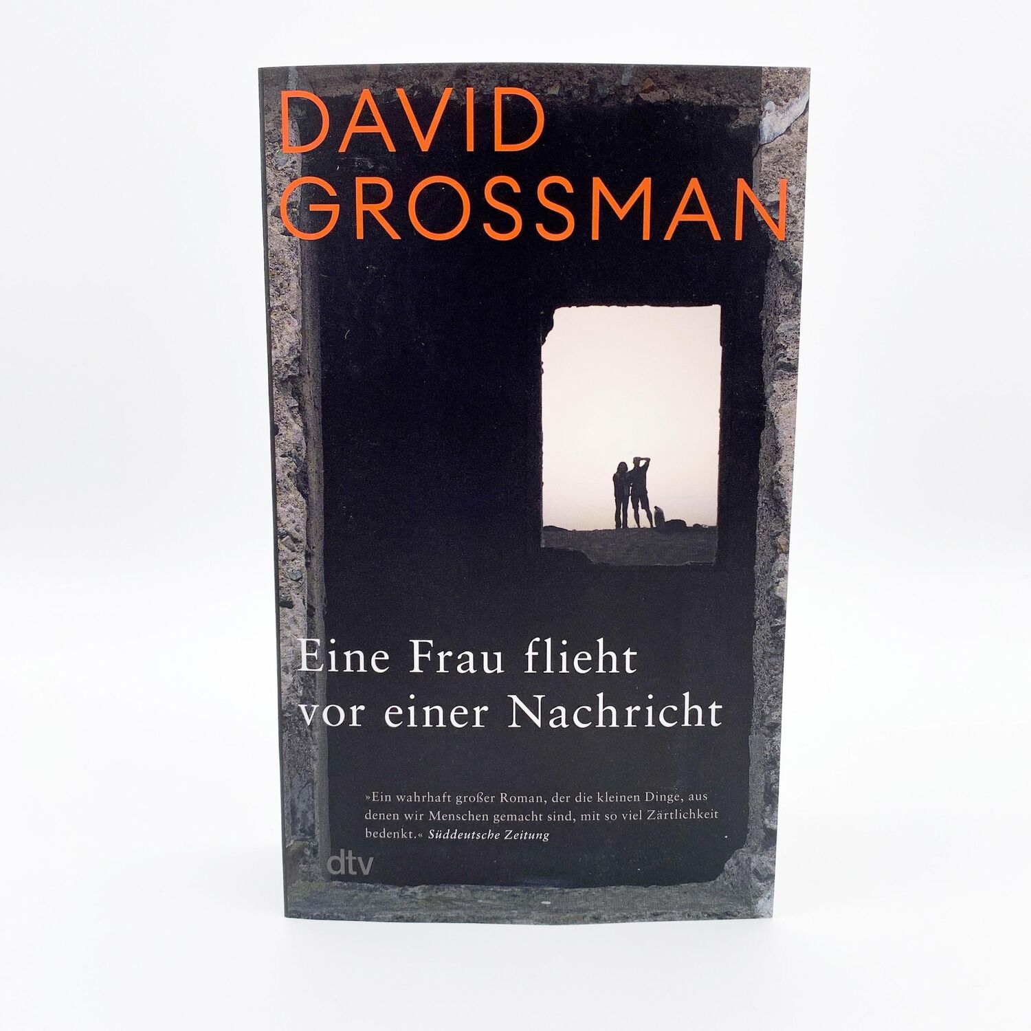 Bild: 9783423148597 | Eine Frau flieht vor einer Nachricht | David Grossman | Taschenbuch