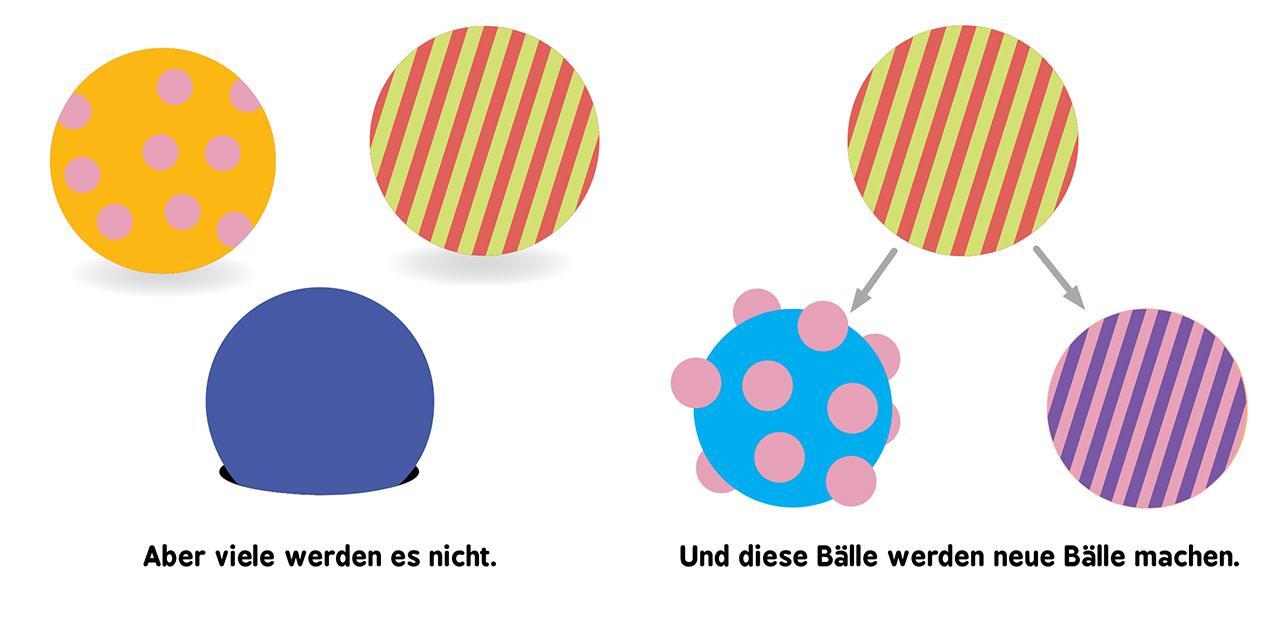 Bild: 9783743203716 | Baby-Universität - Evolution für Babys | Chris Ferrie (u. a.) | Buch