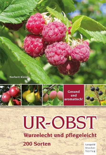 Cover: 9783702015916 | Ur-Obst | Wurzelecht und plegeleicht, 200 Sorten | Norbert Kleinz