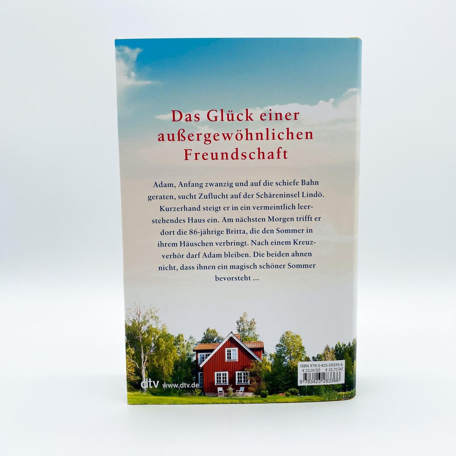 Bild: 9783423283366 | Vielleicht der schönste Sommer | Eleonore Holmgren | Buch | 336 S.