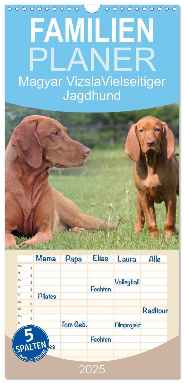 Cover: 9783457114858 | Familienplaner 2025 - Magyar Vizsla - Vielseitiger Jagdhund mit 5...