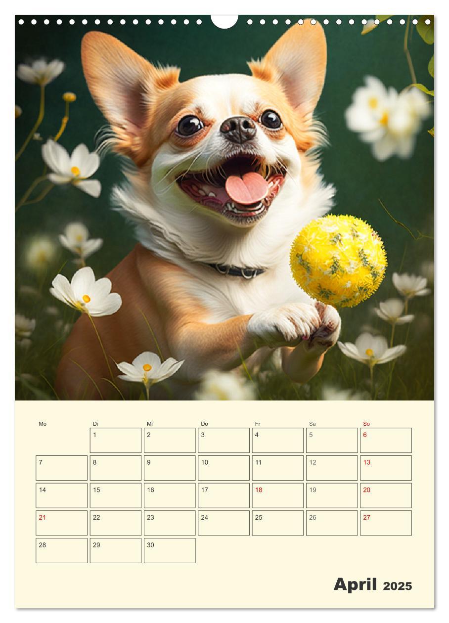 Bild: 9783435875672 | Witzige Chihuahuas. Glückliche Temperamentbündel (Wandkalender 2025...