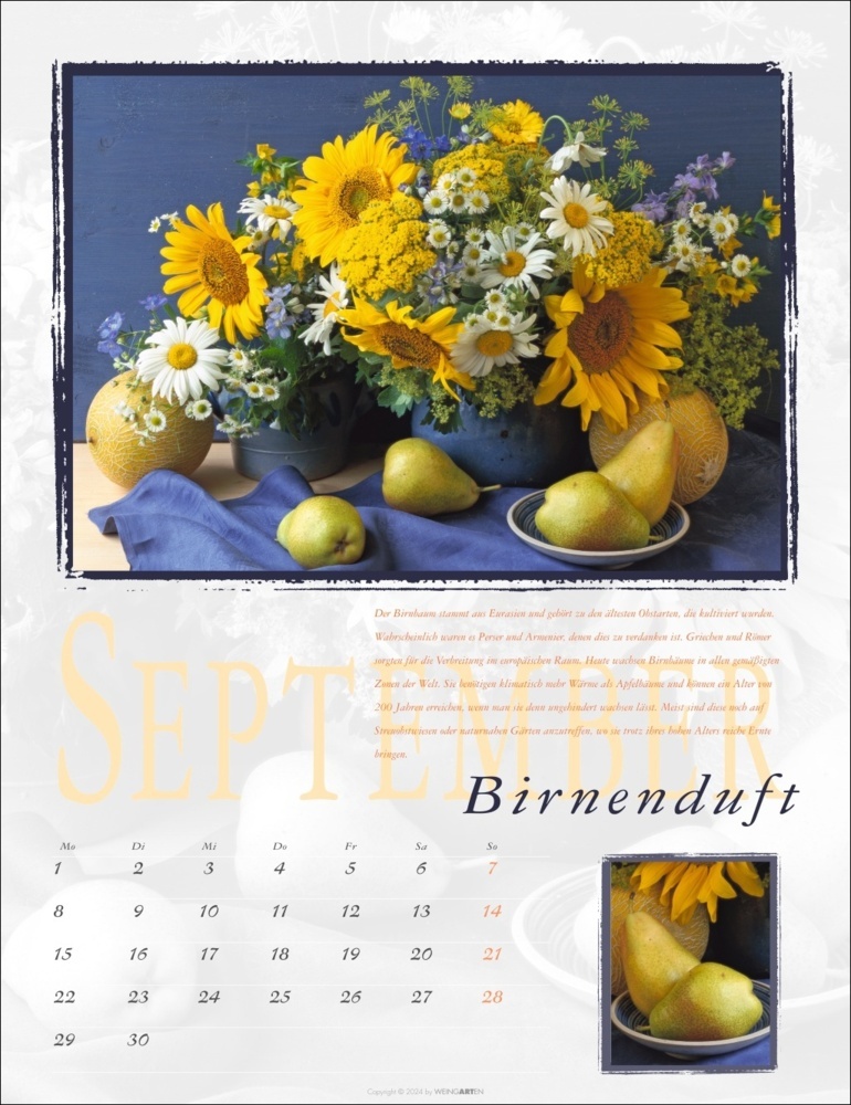 Bild: 9783839901373 | Duftkalender 2025 | Rita Bellmann | Kalender | Spiralbindung | 14 S.