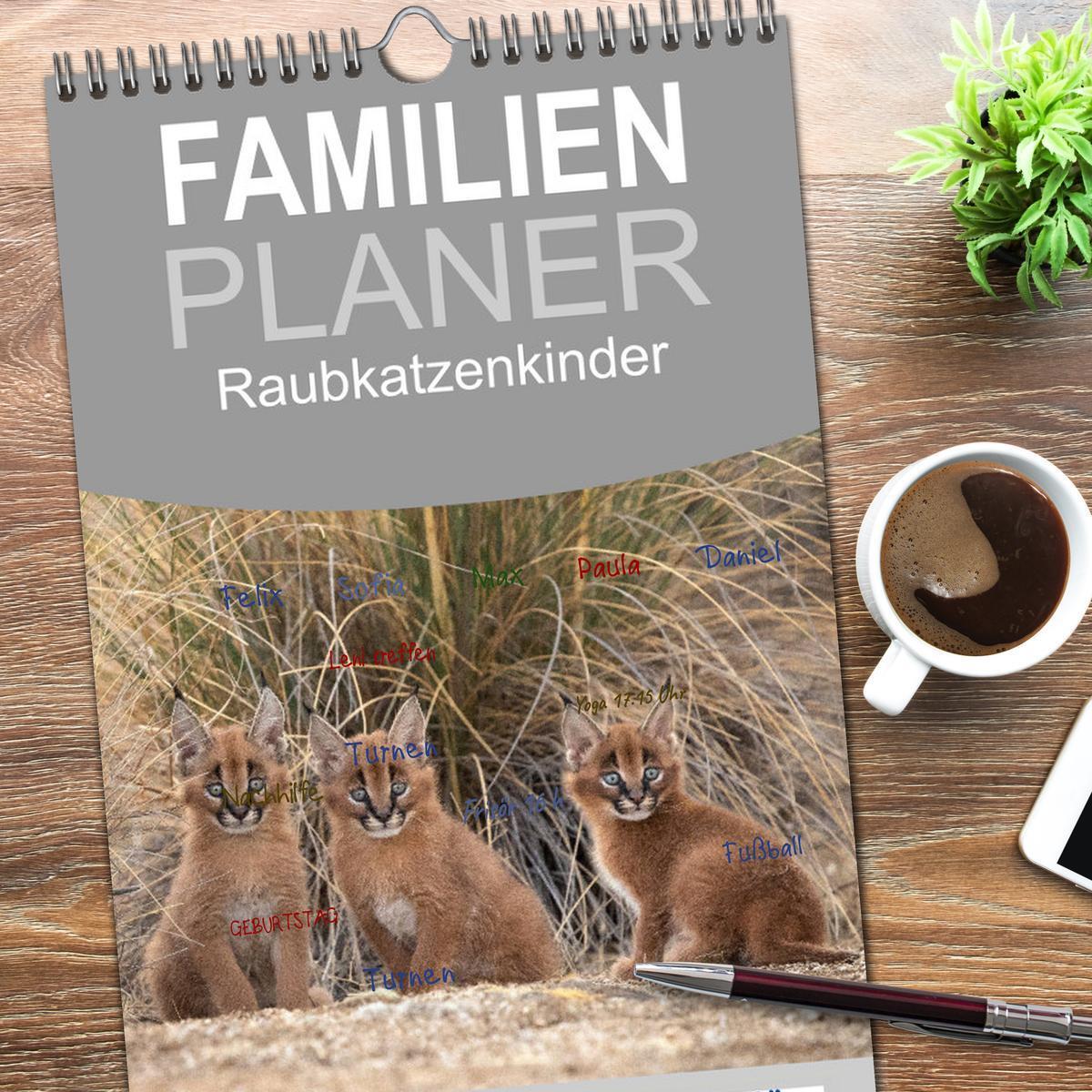 Bild: 9783457123584 | Familienplaner 2025 - Raubkatzenkinder mit 5 Spalten (Wandkalender,...