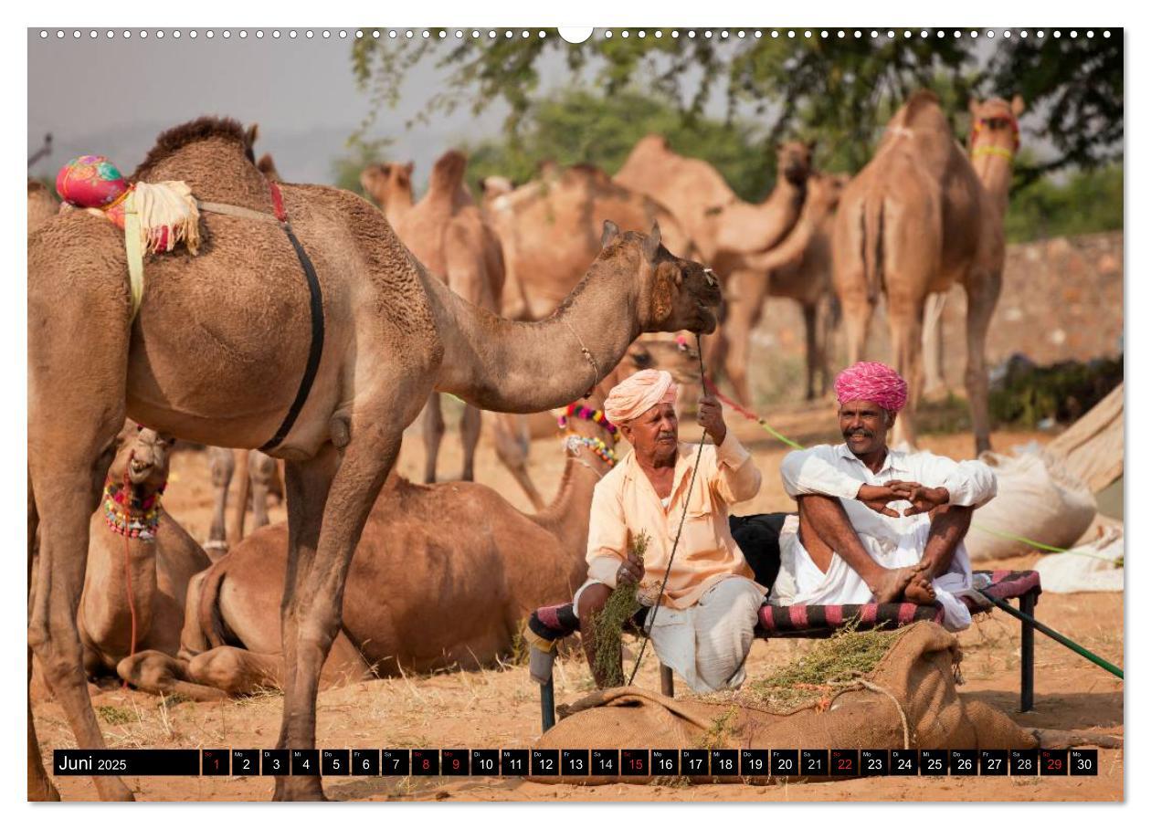 Bild: 9783435626779 | Rajasthan, Indien - Pushkar Mela (Wandkalender 2025 DIN A2 quer),...