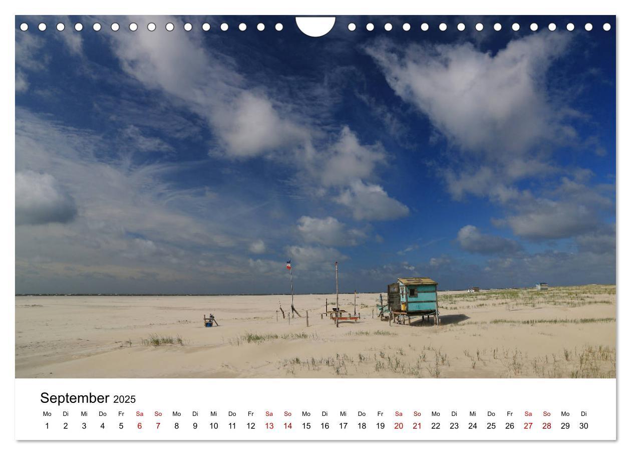 Bild: 9783435388387 | Insel Amrum - Ein Juwel unterm norddeutschen Himmel (Wandkalender...