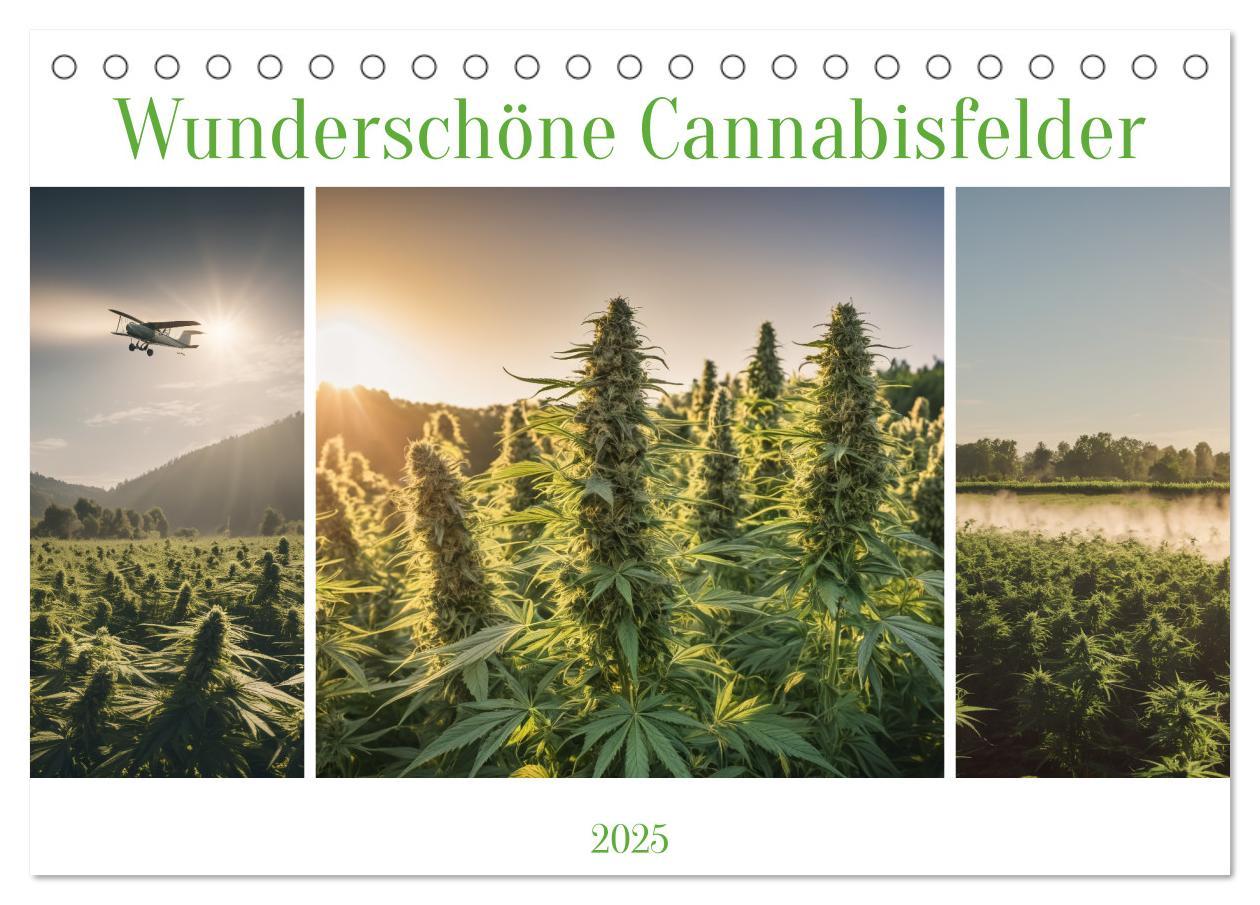 Cover: 9783383807282 | Wunderschöne Cannabisfelder (Tischkalender 2025 DIN A5 quer),...