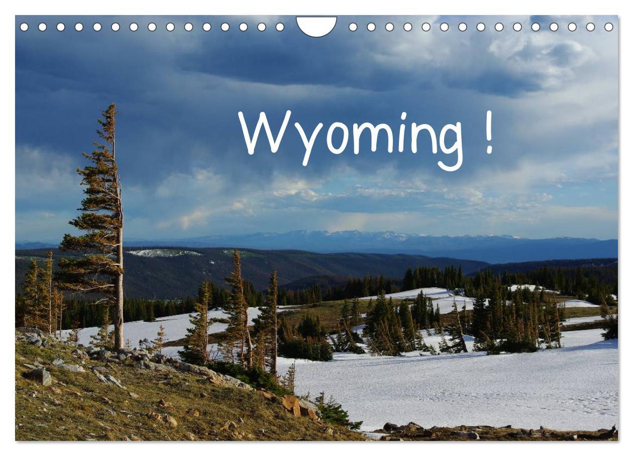 Cover: 9783435824908 | Wyoming! (Wandkalender 2025 DIN A4 quer), CALVENDO Monatskalender