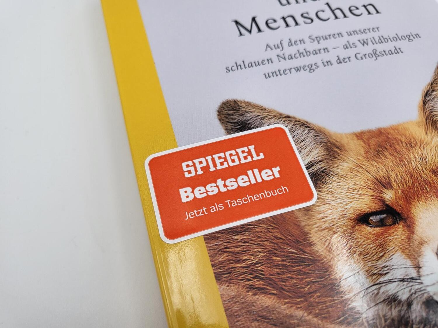 Bild: 9783492406659 | Von Füchsen und Menschen | Sophia Kimmig | Taschenbuch | 256 S. | 2023