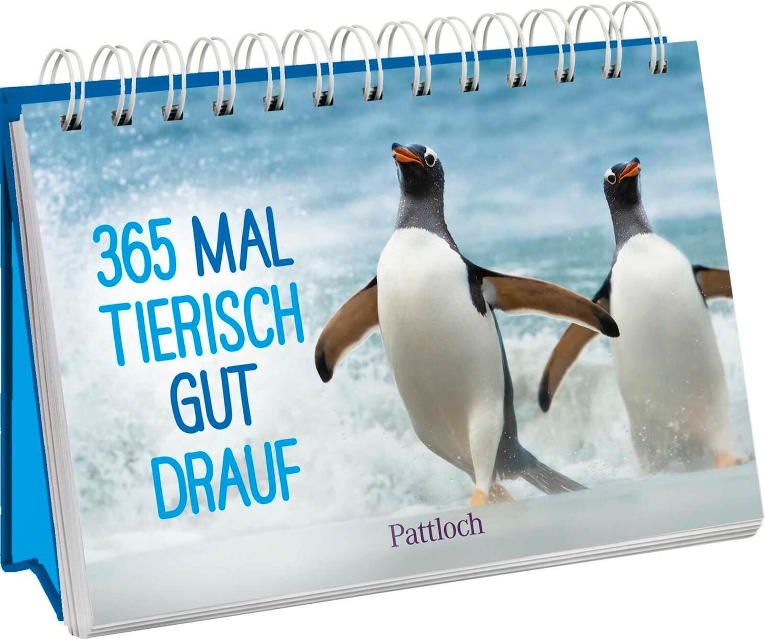 Cover: 9783629010933 | 365 mal tierisch gut drauf! | Pattloch Verlag | Kalender | 384 S.