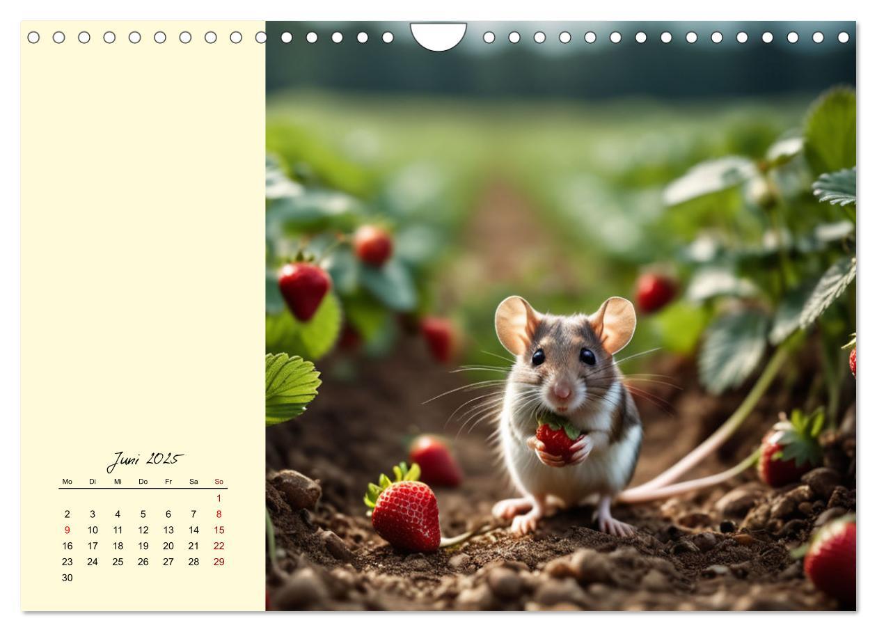 Bild: 9783457148594 | Goldige Mäuse im Grünen (Wandkalender 2025 DIN A4 quer), CALVENDO...