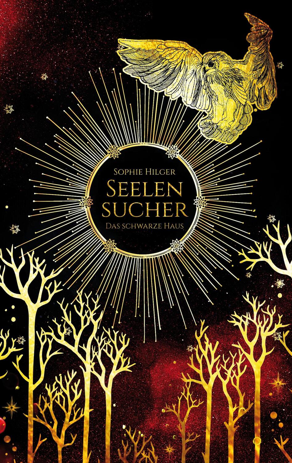 Cover: 9783746066349 | Seelensucher | Das schwarze Haus | Sophie Hilger | Taschenbuch