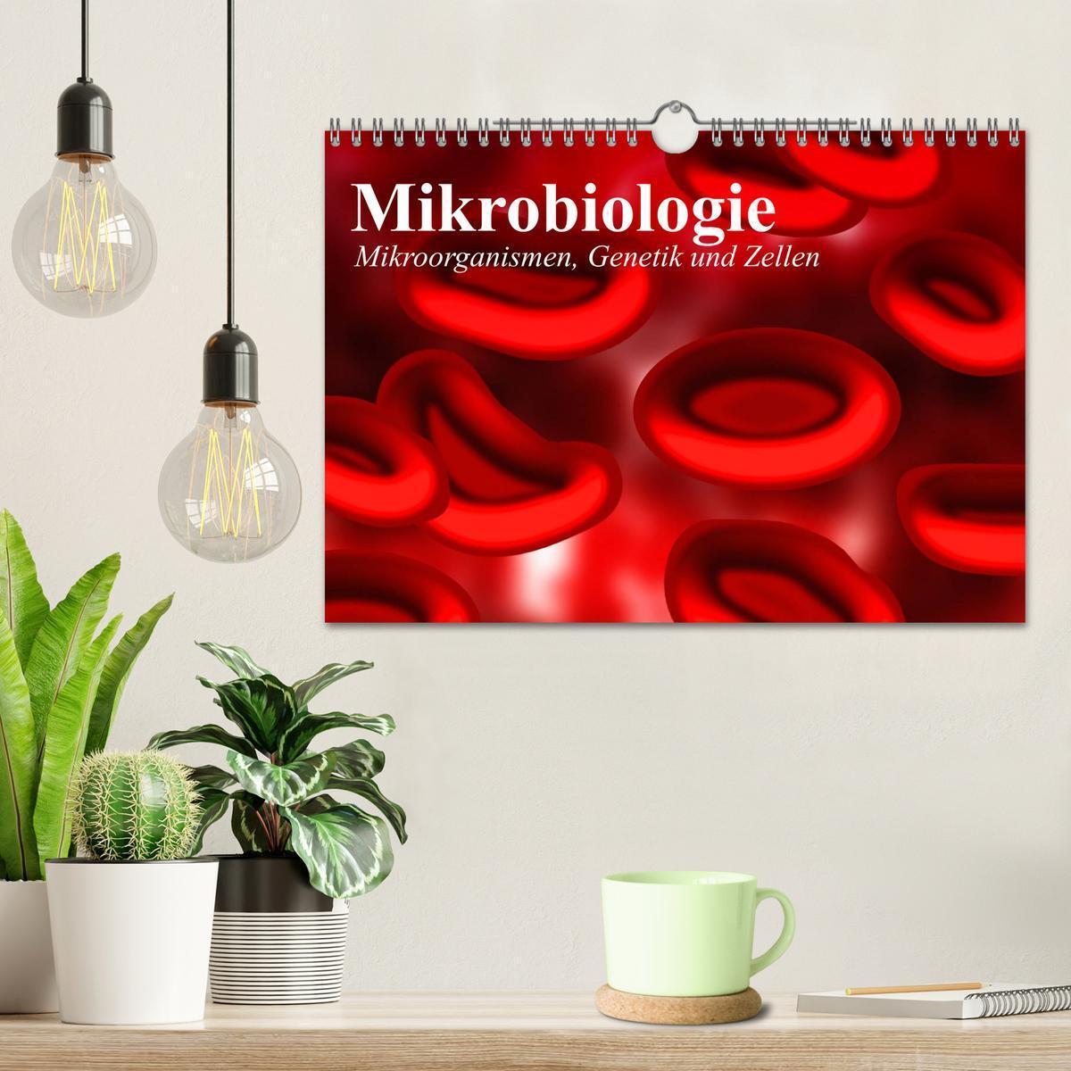 Bild: 9783435484249 | Mikrobiologie. Mikroorganismen, Genetik und Zellen (Wandkalender...