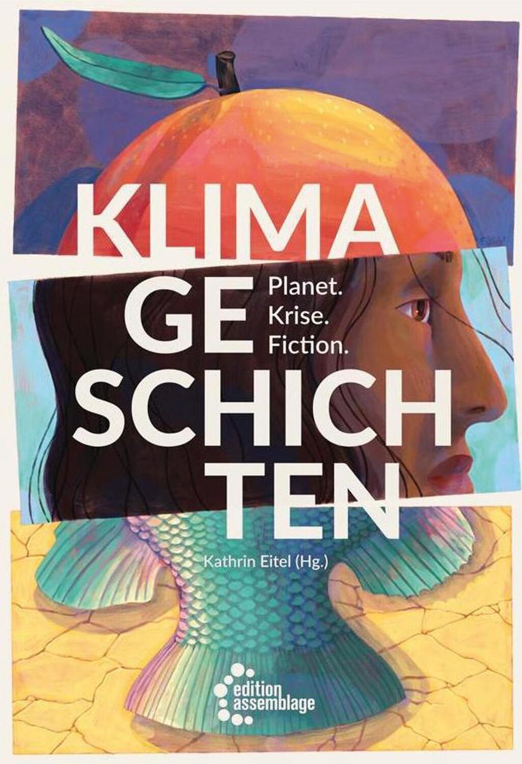 Cover: 9783960421849 | Klimageschichten | Planet. Krise. Fiction | Kathrin Eitel | Buch