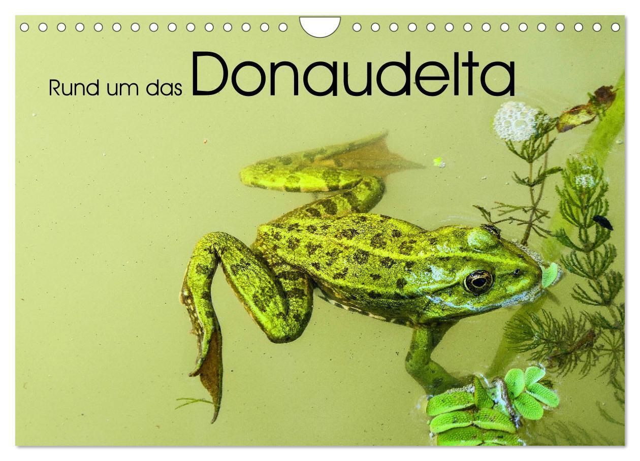 Cover: 9783383803024 | Rund um das Donaudelta (Wandkalender 2025 DIN A4 quer), CALVENDO...