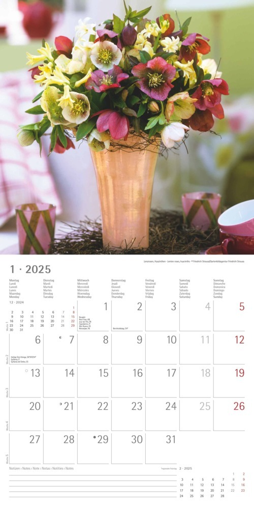 Bild: 4251732340612 | Blumen 2025 - Broschürenkalender 30x30 cm (30x60 geöffnet) -...