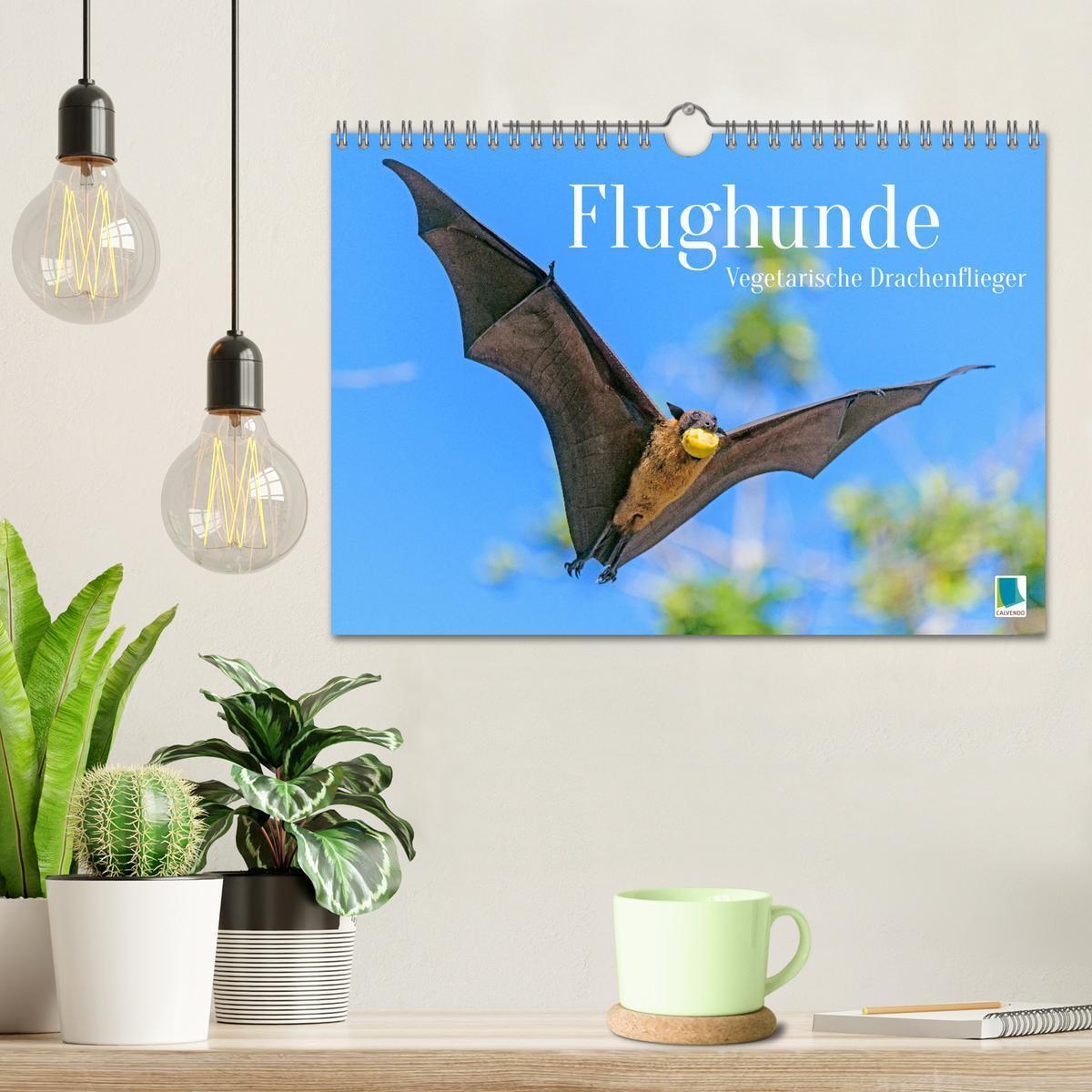 Bild: 9783435061457 | Flughunde: Vegetarische Drachenflieger (Wandkalender 2025 DIN A4...