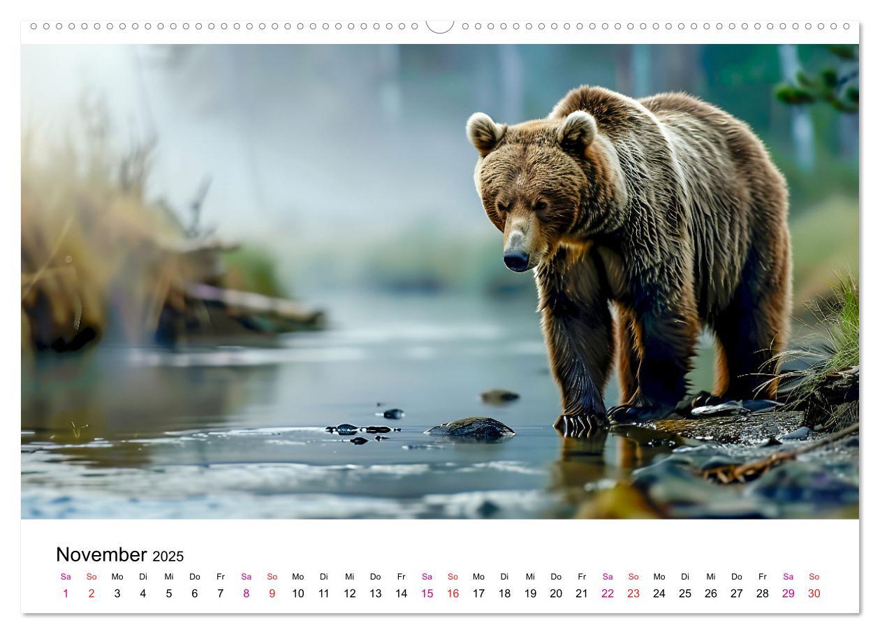 Bild: 9783457170458 | Bären - gefährlich nett (Wandkalender 2025 DIN A2 quer), CALVENDO...