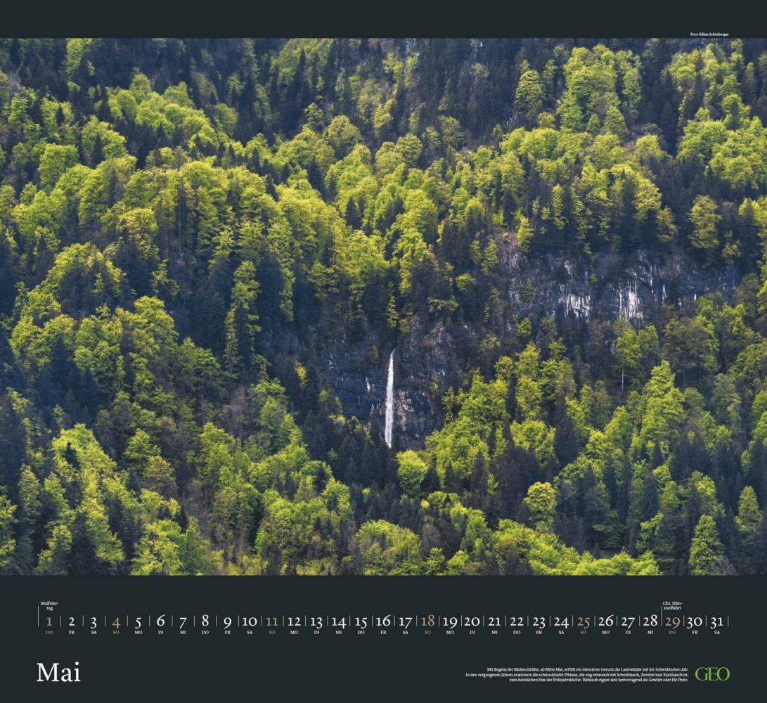 Bild: 4002725988683 | GEO - Sehnsucht Wald Wandkalender 2025 - Eindrucksvoller...