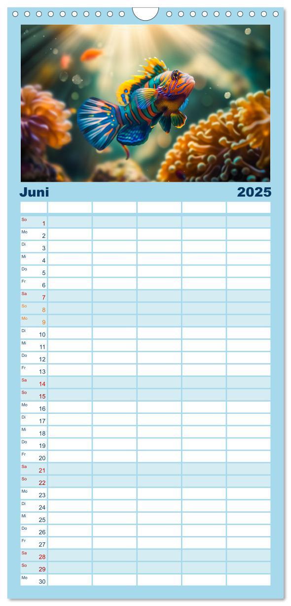 Bild: 9783457191538 | Familienplaner 2025 - Exotische Fische mit 5 Spalten (Wandkalender,...