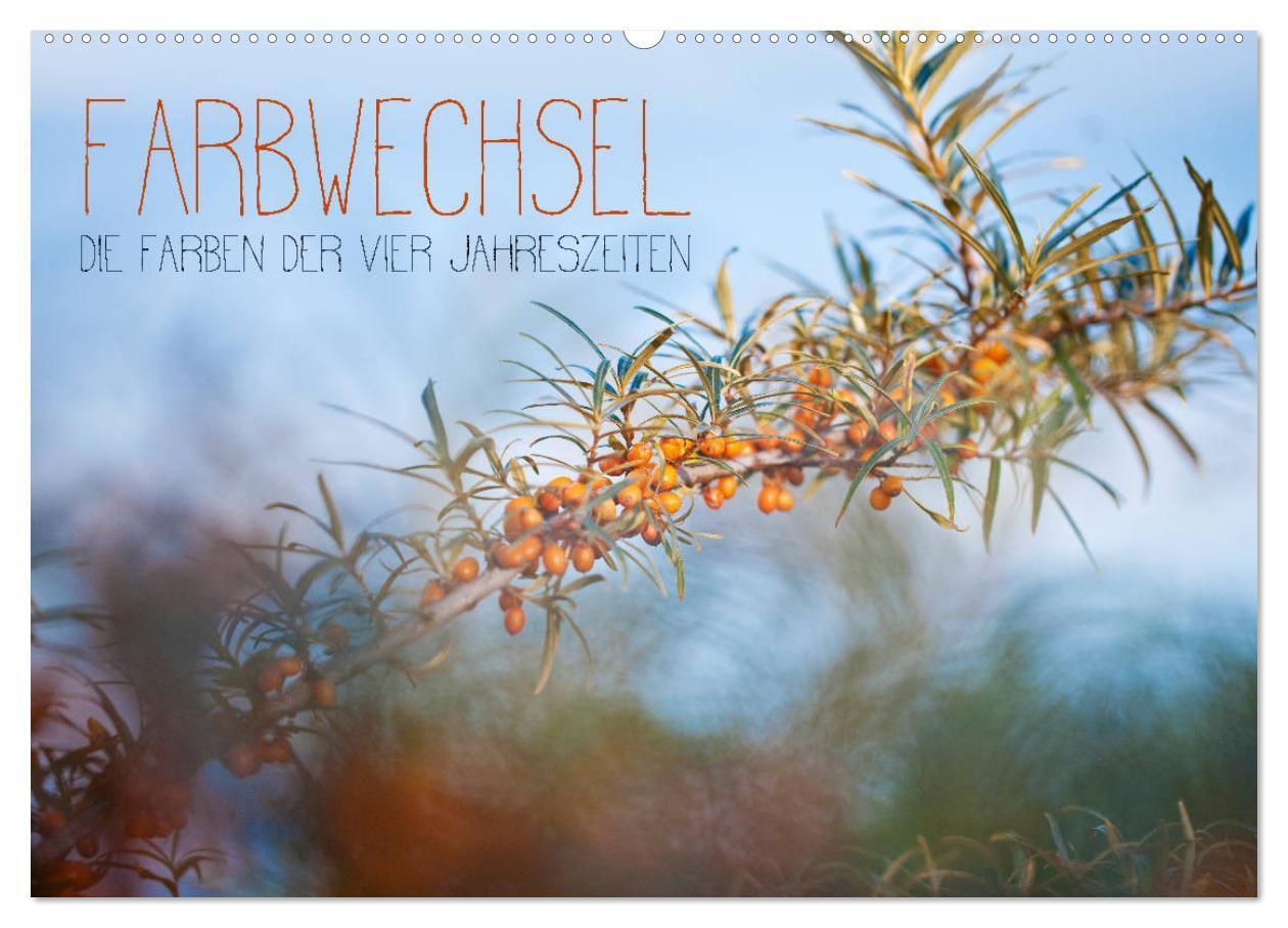 Cover: 9783435428199 | Farbwechsel - Die Farben der vier Jahreszeiten (Wandkalender 2025...