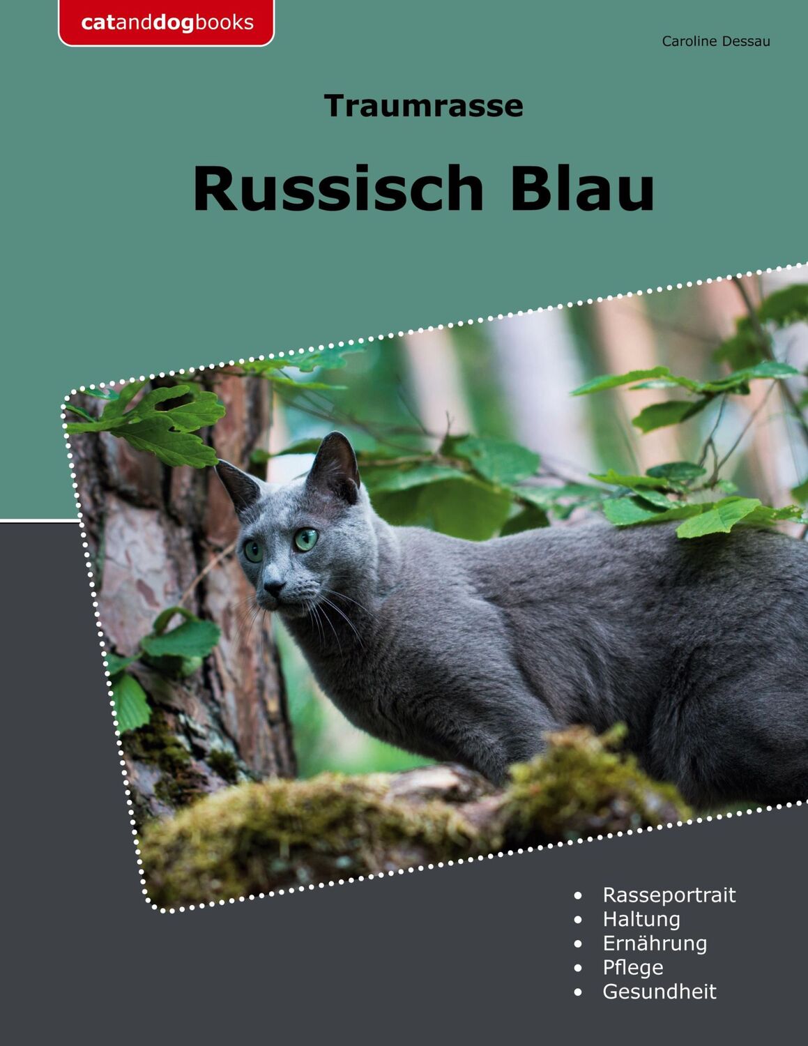 Cover: 9783759723765 | Traumrasse Russisch Blau | Caroline Dessau | Taschenbuch | Paperback