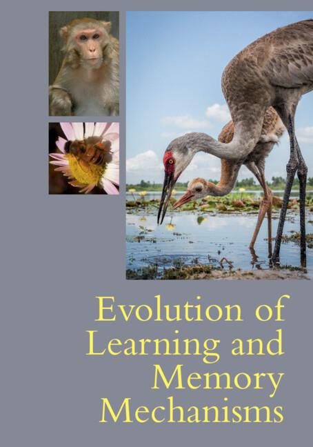 Cover: 9781108738316 | Evolution of Learning and Memory Mechanisms | Mark A. Krause (u. a.)