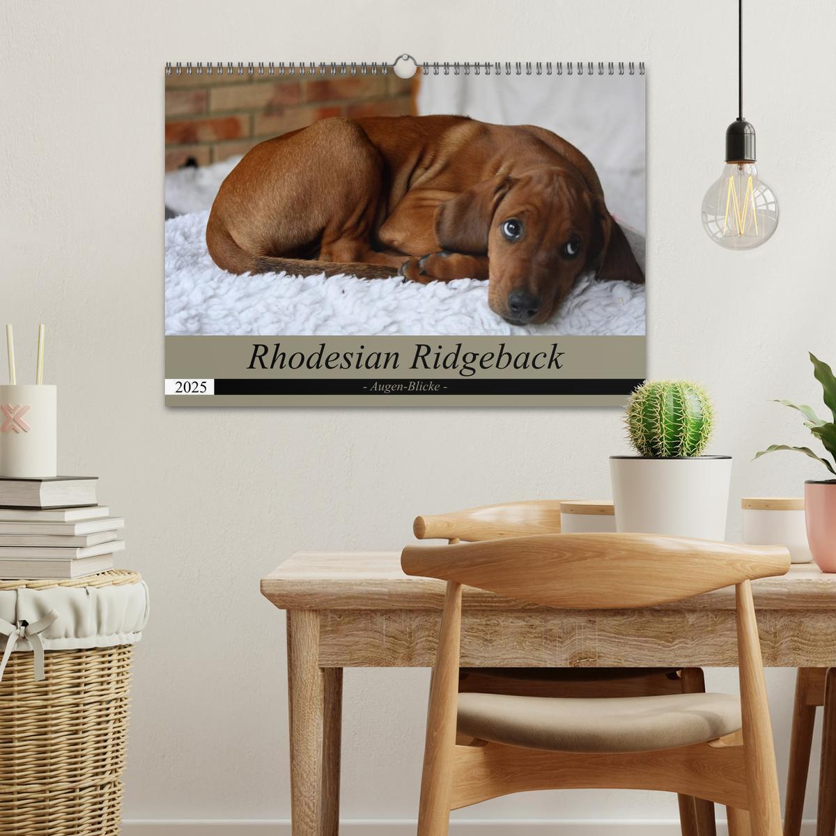 Bild: 9783435264797 | Rhodesian Ridgeback Augen-Blicke (Wandkalender 2025 DIN A3 quer),...