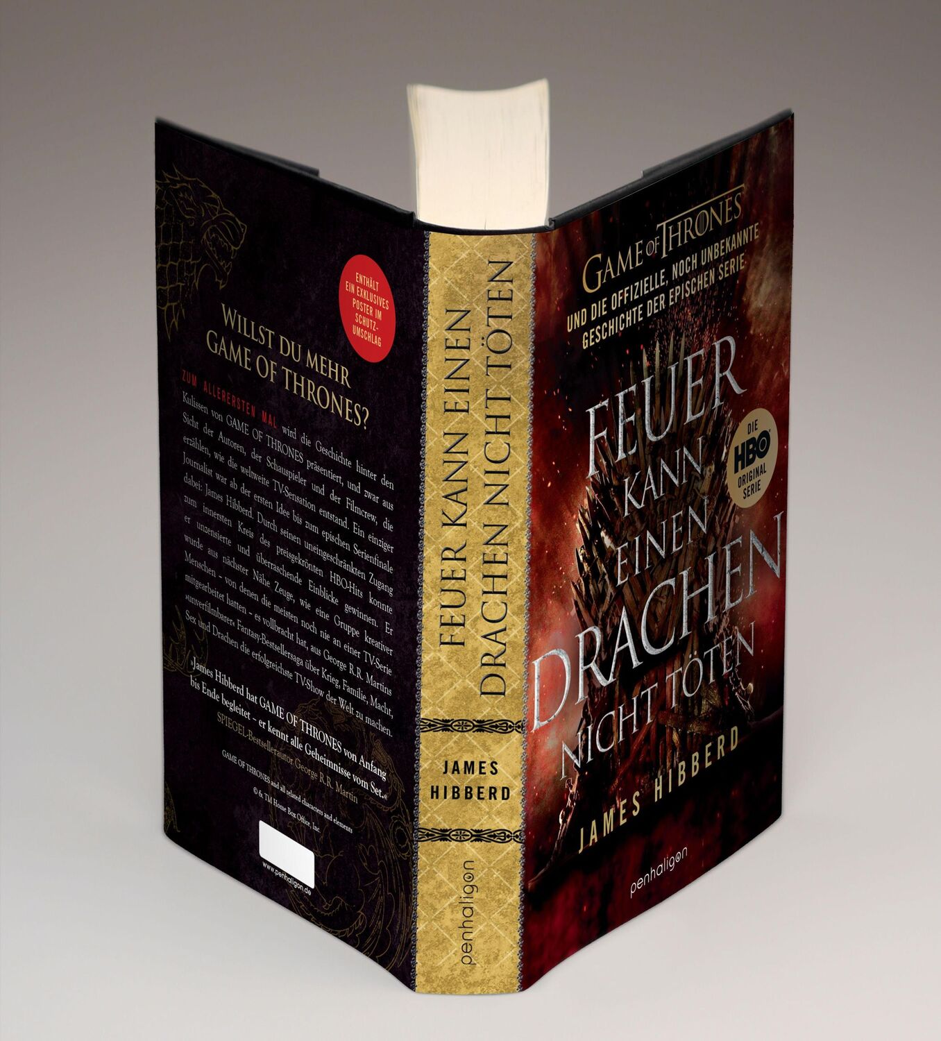 Bild: 9783764532543 | Feuer kann einen Drachen nicht töten | James Hibberd | Buch | 464 S.