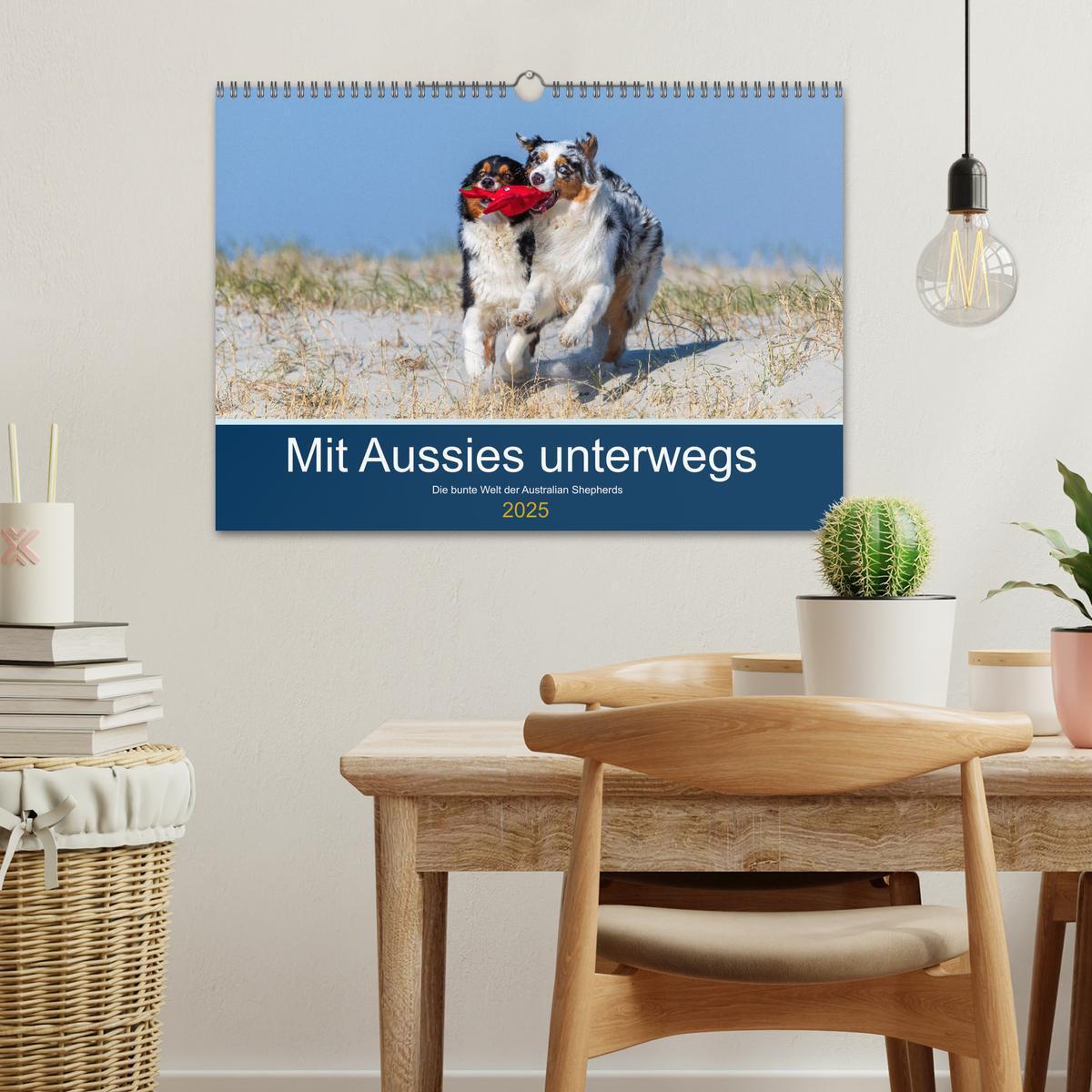 Bild: 9783435762569 | Mit Aussies unterwegs - Die bunte Welt der Australian Shepherds...