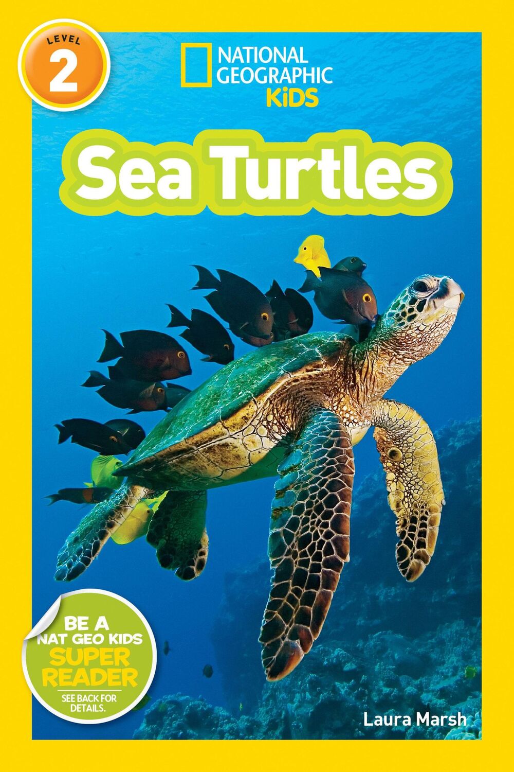 Cover: 9781426308536 | Sea Turtles | Laura Marsh | Taschenbuch | Kartoniert / Broschiert